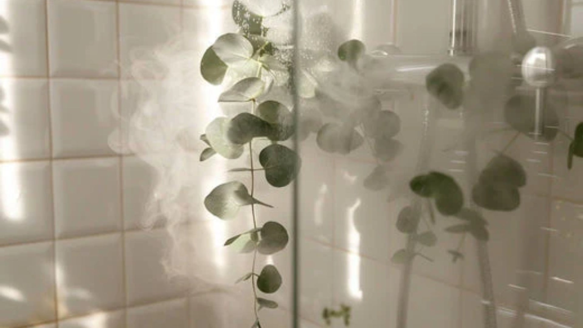 L'eucalyptus dans la douche : un remède naturel contre la congestion nasale en hiver